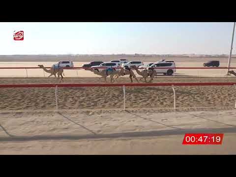  ش 20 (بلوره) لـ سعيد بن عبدالله المقبالي 2:16:80 ، شارة الصندوق 2026/07/25 فطامين الوثبة