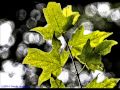 Nanci Griffith - "I Still Miss Someone"
