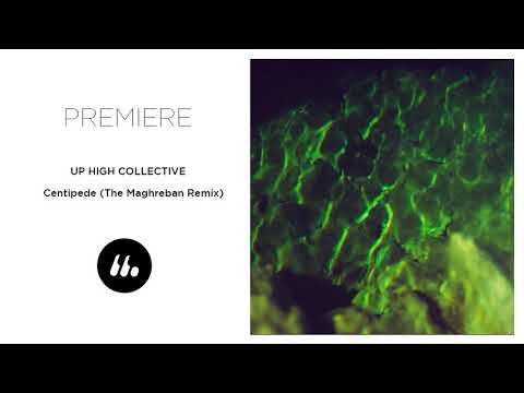 Up High Collective - Centipede (The Maghreban Remix) | Le Mellotron Premiere