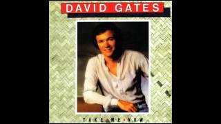 David Gates - Lady Valentine