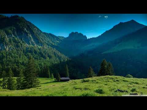 KBK feat. Haya - Save Me [AVA White]