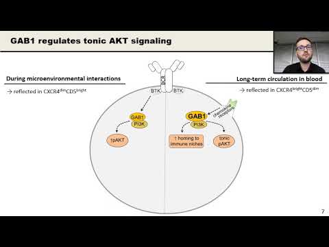 Seda et al (Mraz lab), YIM iwCLL 2021