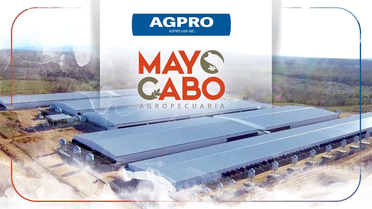 AGPRO en alianza con Mayocabo; instalaciones de vanguardia para la porcicultura mexicana y la región