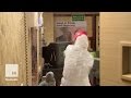 Feeling Angry? Come and Break All The Gadgets in This “Rage Room”