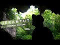 JERANTUT Remember The Name