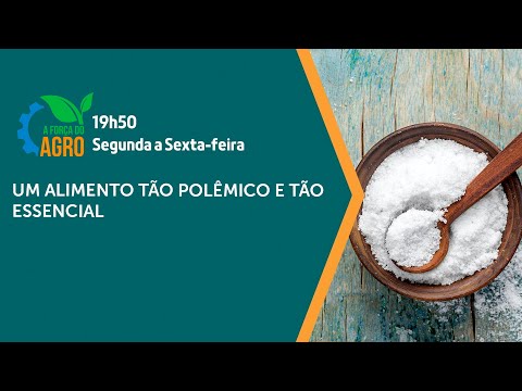 A Força do Agro, com Joice Maffezzolli - Um alimento tão polêmico e tão essencial