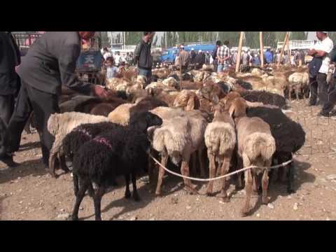 The chinese silk road (From Kashgar to Beijing)