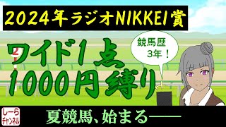 【2024年ラジオNIKKEI賞】斤量がカギ【しーらch】
