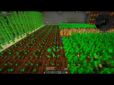 Minecraft MC-Eternal ~ Couples Therapy Ep 35 Leveling up Mystical Agriculture Crops