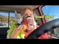 I Took My Cat Shopping With Me Again