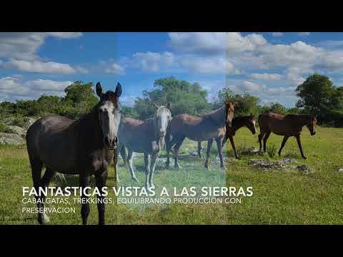 Estancia Las Cascadas - Sierras de Lavalleja