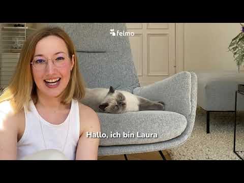 Video 1 felmo Mobiler Tierarzt Mannheim