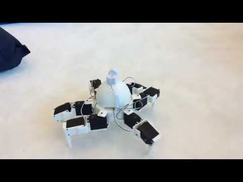 DJ's Super Six Hexapod