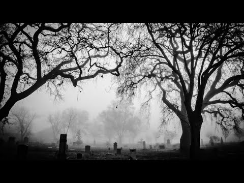 Professionalism | Ft HARM, REDX, HONR, LAGX, DEVX, UAN1, XTAG, XNHR, DEVL, LOCO, MASK and many more