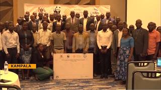 Forest Restoration Hub Launched in Uganda | Boosting Forestry Recovery