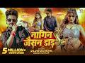 Video Nagin Jaisan Daar Raushan Rohi नागिन जैसन डाड़ Khushi Kakkar New Mag