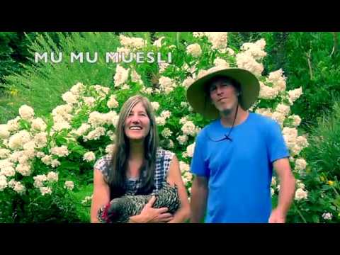 download lagu mp3 mp4 Difference Between Granola And Muesli, download lagu Difference Between Granola And Muesli gratis, unduh video klip Difference Between Granola And Muesli