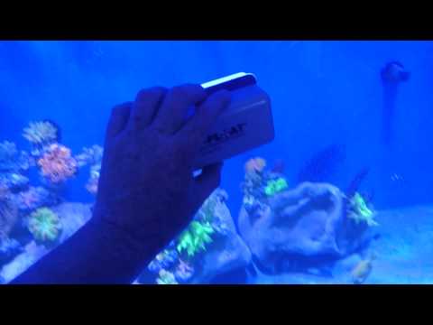 Watch Video on YouTube