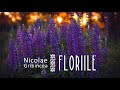 Nicolae Gribincea Floriile