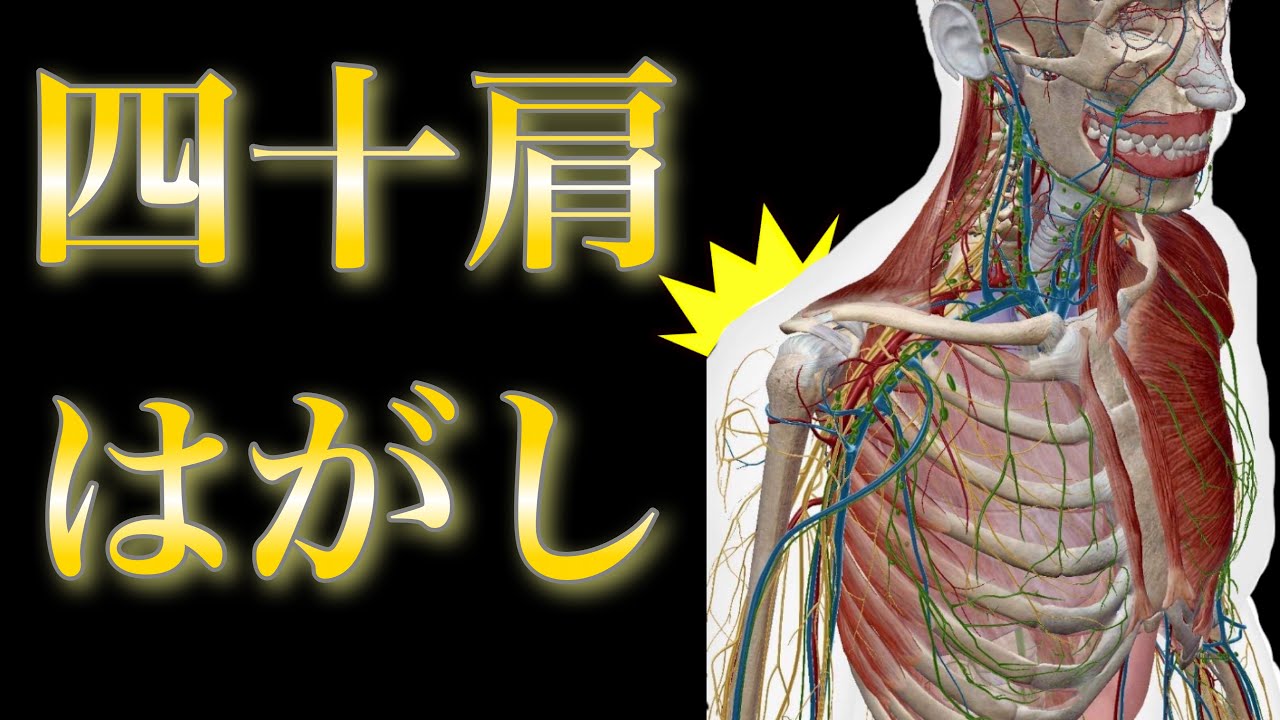 四十肩五十肩今すぐあがる‼️99％が知らない肩の痛みの原因！