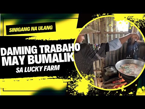EP652: May Bumalik sa Trabaho sa Bukid Sinigang na Ulang (Shrimp)