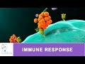 IMMUNE RESPONSE