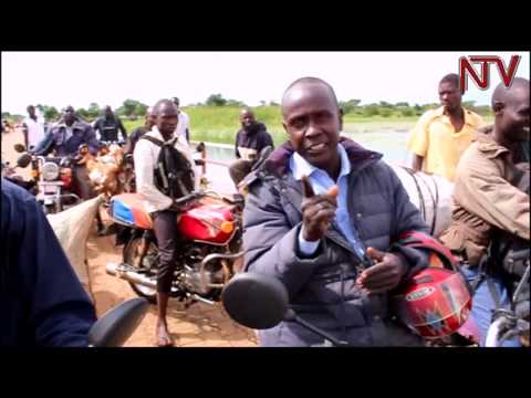 Communities in Teso suffer as Lake Bisina water levels rise