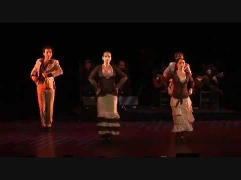 Centro de Flamenco (Oslo) presenterer «Flamenco de mi Alma», Drammens Teater 2008