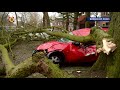 Zware windstoten teisteren Brabant: veel schade door bomen op auto's en huizen