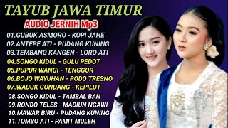 Download lagu TAYUB AUDIO JERNIH | JAWA TIMUR mp3