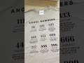 REMERA OVER ESTAMPADA MST ANGEL NUMBERS