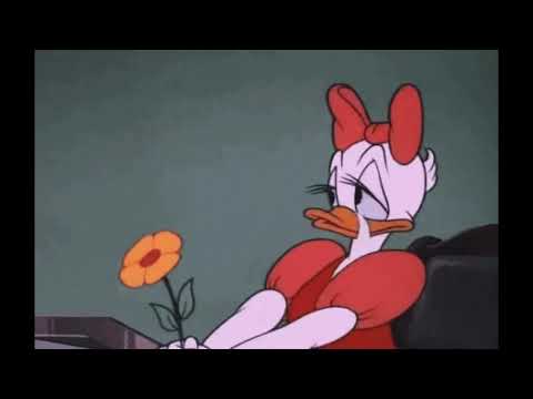 STWOODBOI X TAHA X SAINT GIRAFFE - NO QUESTIONS [PROD.STWOODBOI]