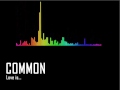 Common - Love is