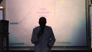 3) Dr. Rasheed 16-02-2015 [ Types of diabetic coma and Absorption of proteins ]