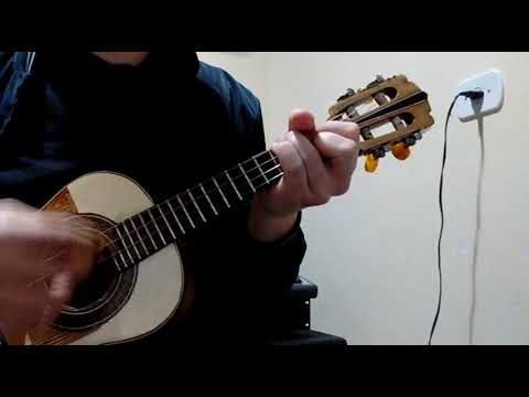 Abrigo video