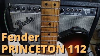 Video thumbnail for Fender Princeton 112 - Clean Demo by Danyel Campos