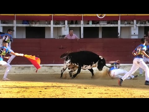 Medina del Campo 2023 Concurso con Toros Bravos