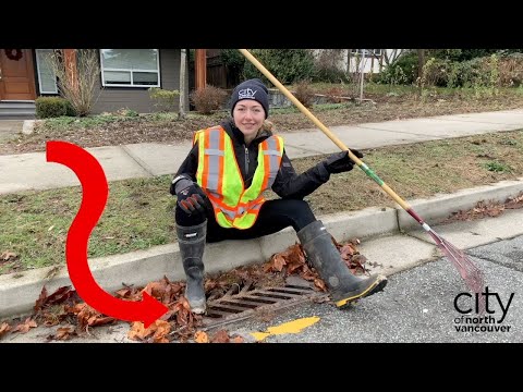 What's a Catch Basin?