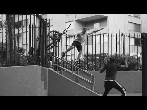 FACTS - ANIMAL BIKES - BMX