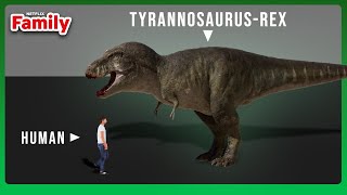 Download lagu Human VS Dinosaurs Size Comparison | The Dinosaurs | Netflix Family mp3