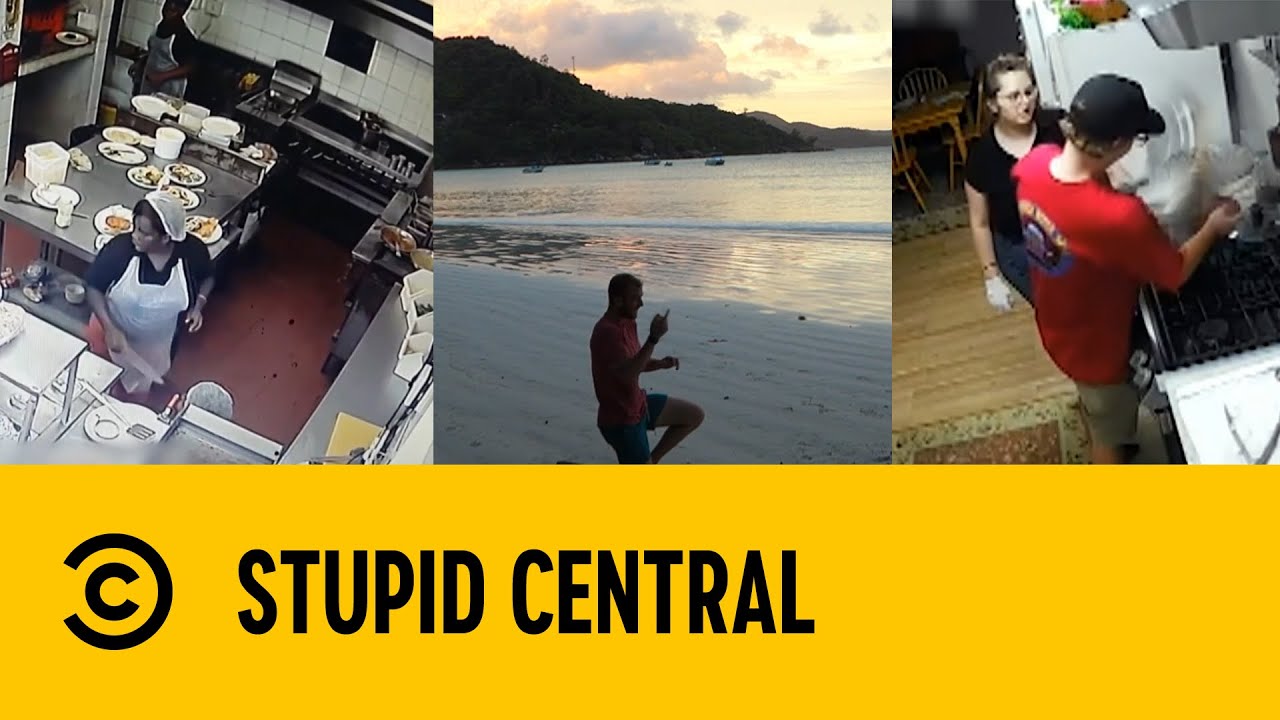 Kitchen Chaos | Stupid Central