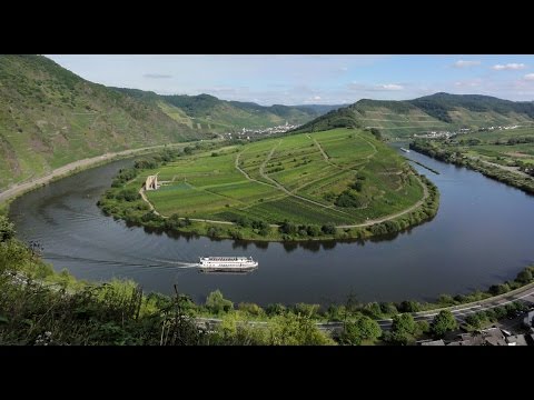Wine harvest in Mosel Germany: German Riesling in Moselle Valley - Weinlese Deutschland Tourismus