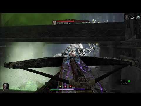 Bounty Hunter True Solo - Into The Nest