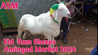 Episode -116| Amingad Ram Sheep Market,  Bagalkot,  Karnataka, India, Eid Market,18th May 2024
