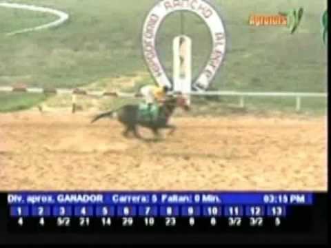 Resumen Martes, 01 de Mayo de 2012 - Rancho Alegre