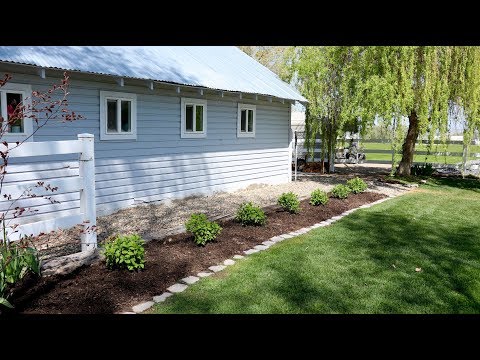 download lagu mp3 mp4 Firelight Hydrangea, download lagu Firelight Hydrangea gratis, unduh video klip Firelight Hydrangea