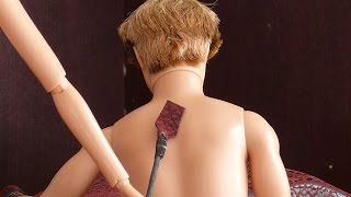 Barbie's Fifty Shades of Grey Parody - Fifty Shades of Pink A Barbie Stop Motion by Shakycow