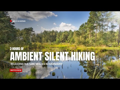 Relaxing Nature Walks: 3 Hours of Silent Hiking in Northern Germany (4K) ASMR