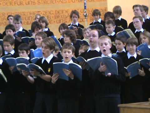 Aria "Gott, nimm dich ferner unser an"  J.S.Bach BWV 225 Tölzer Knabenchor