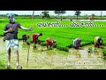 விவசாயம் MGR Songs விவசாய பாடல்கள் விவசாயி